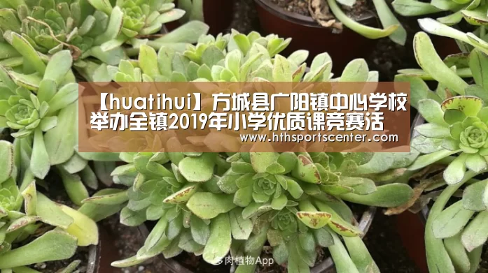【huatihui】方城县广阳镇中心学校举办全镇2019年小学优质课竞赛活动(图2)